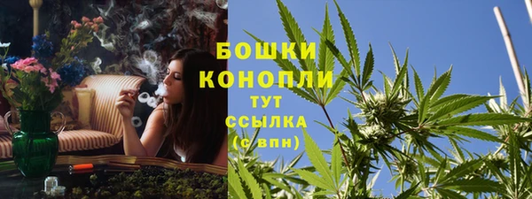 гашик Новозыбков