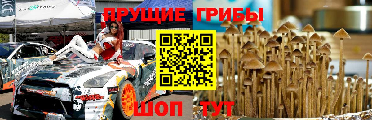 Югорск  Псилоцибиновые грибы прущие грибы  Галлюциногенные грибы прущие грибы  Вход с VPN 