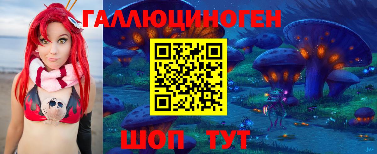 Псилоцибиновые грибы Psilocybe Югорск
